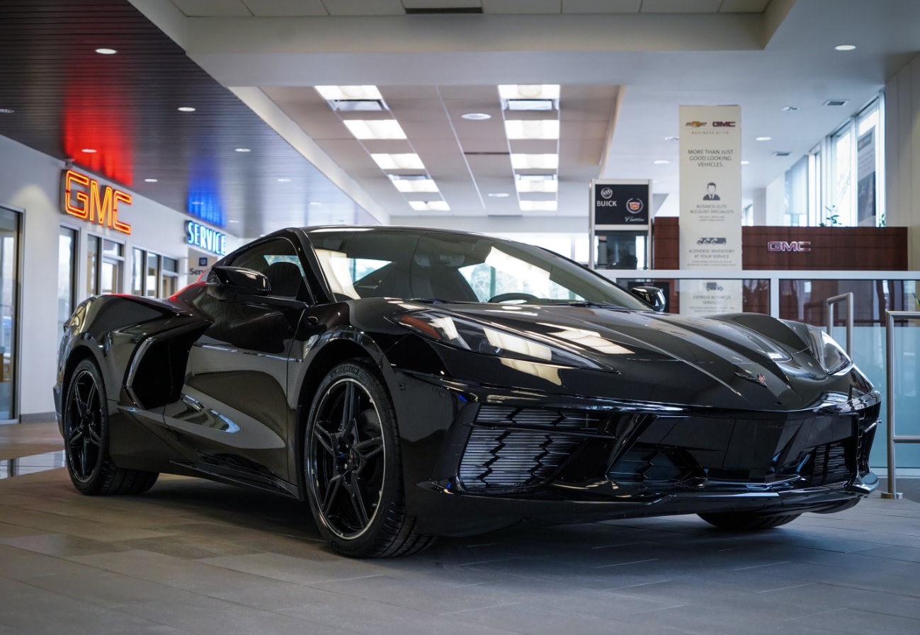 stingray-2