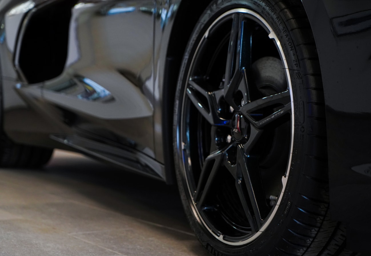 stingray-3