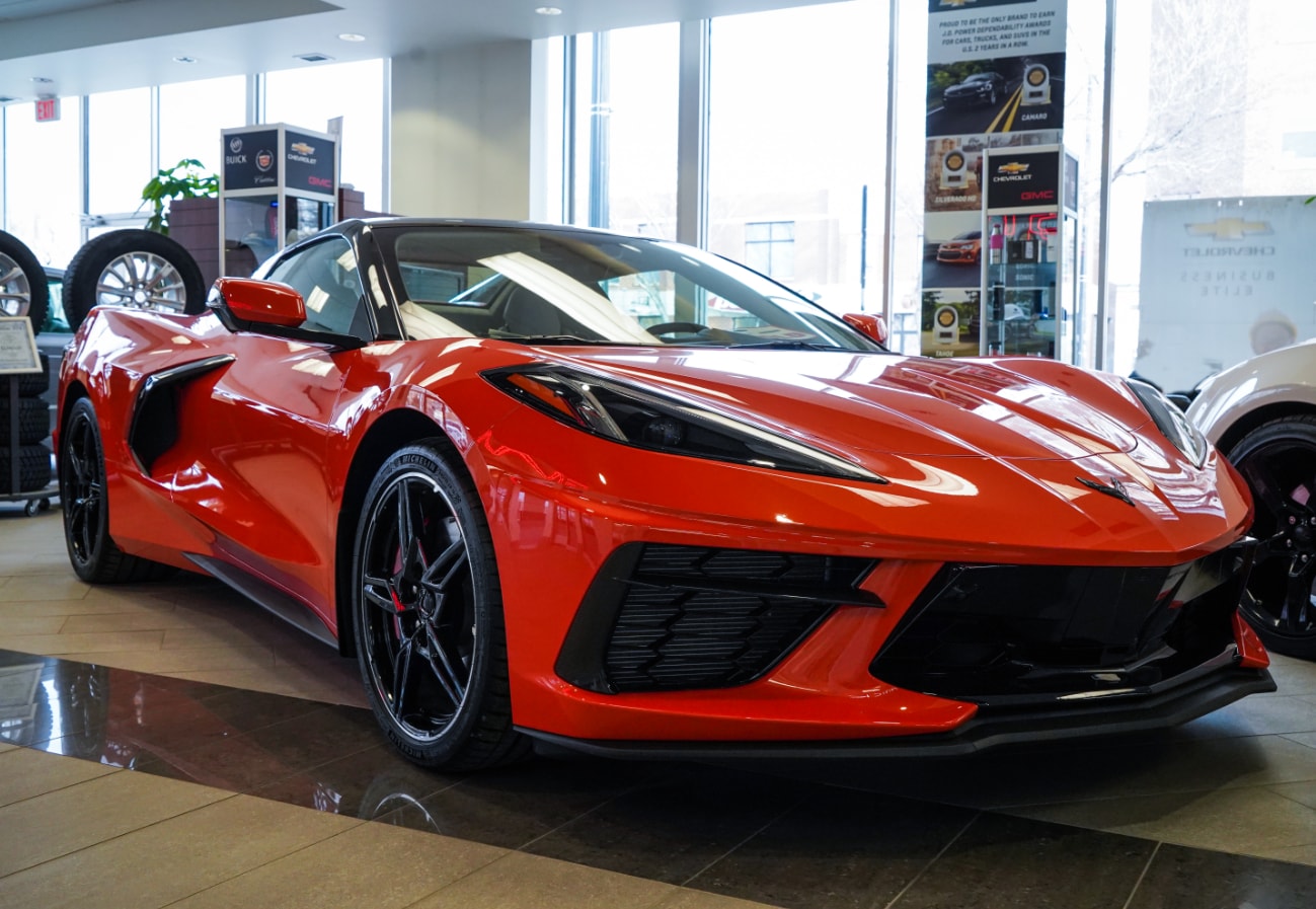 stingray-4