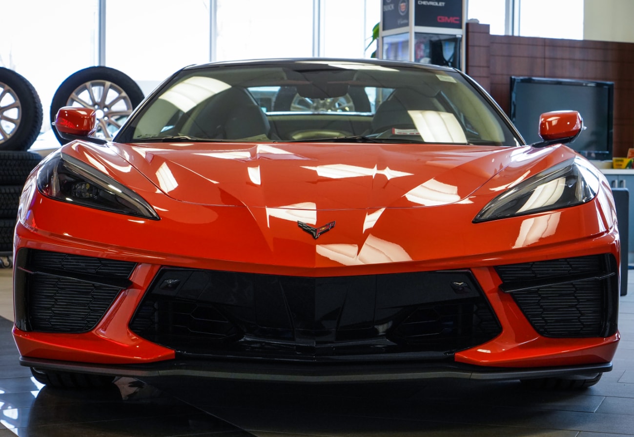 stingray-6