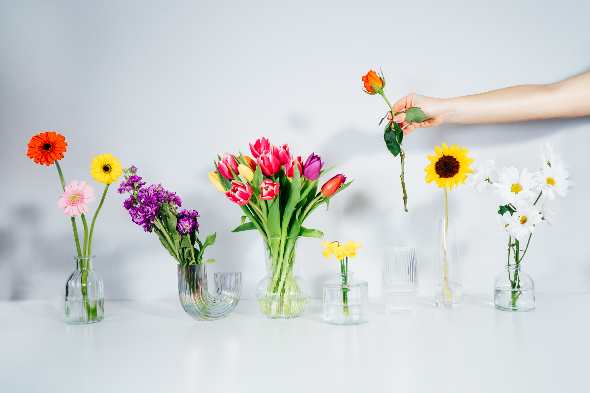female-hand-putting-rose-into-vase-in-row-with-var-2025-02-12-05-38-31-utc