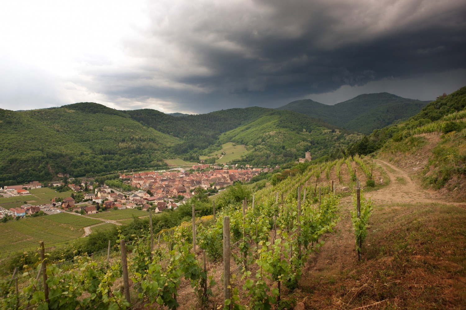 imgi_4_schlossberg-chemin