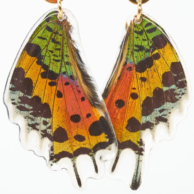 Butterfly Jewlry Sunset Moth Whole Wing Earrings_villagegoods.ca