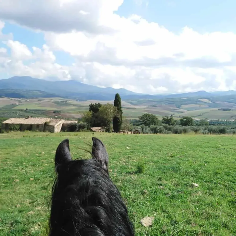 imgi_57_horseback-riding-031-1000x1000